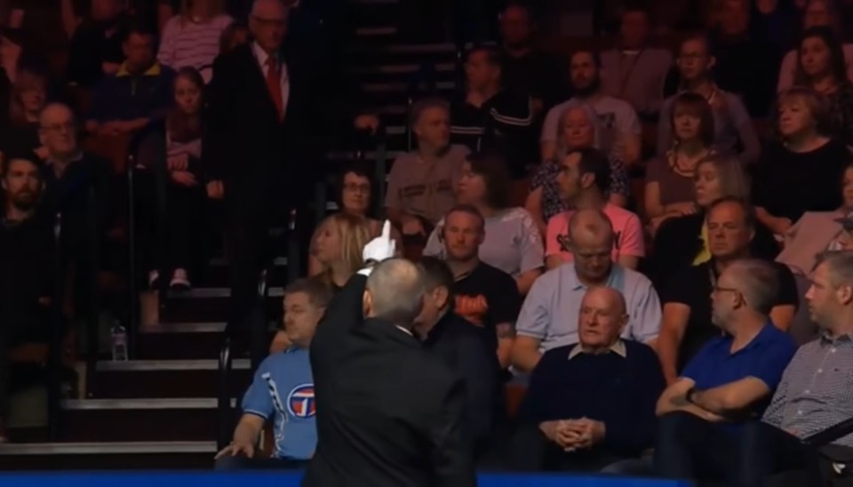 The official immediately called for security to eject the spectator