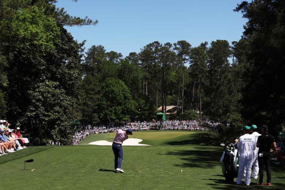 McIlroy has revealed that a number of trees are missing from the course